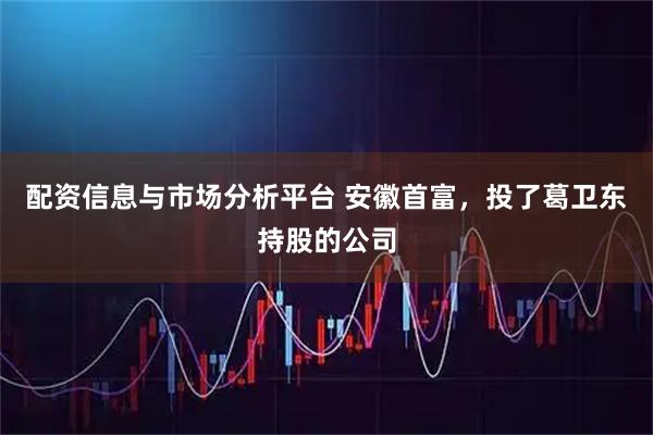 配资信息与市场分析平台 安徽首富，投了葛卫东持股的公司